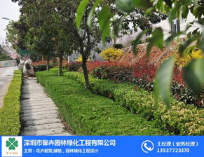 深圳馨卉園林 小區綠化帶施工與養護管理工程，價格優惠，品質卓越